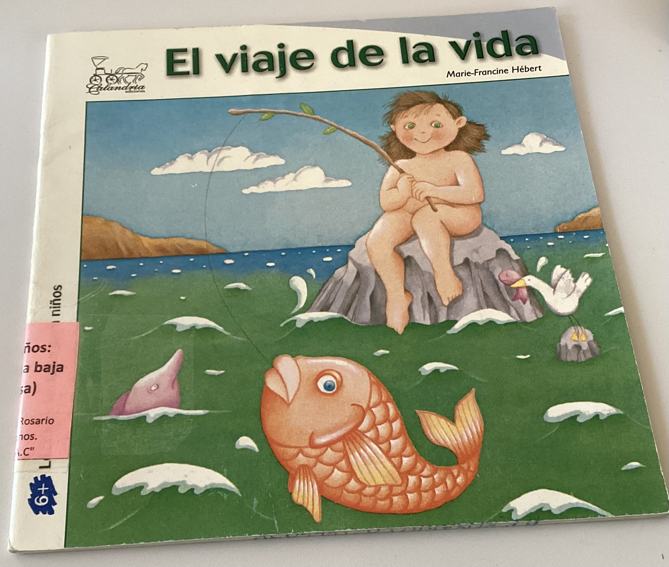 El viaje de la vida