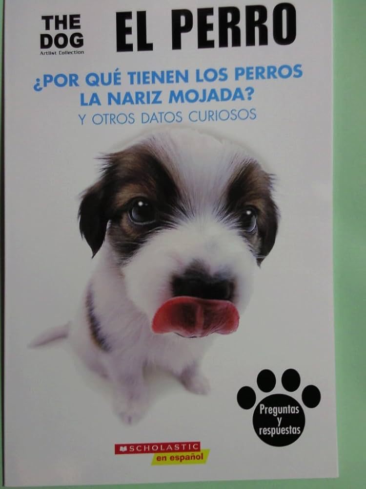 El perro: ¿Por qué tiene los perros la nariz mojada? Y otros datos curiosos