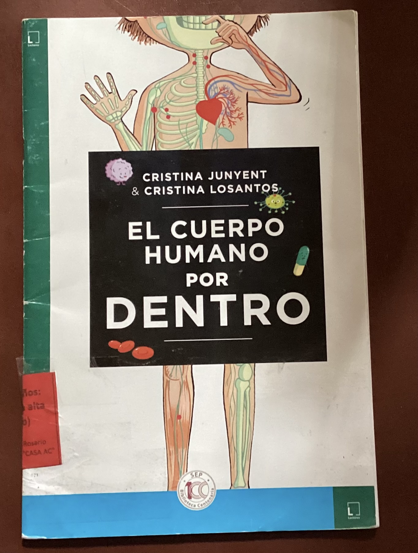 El cuerpo humano por dentro