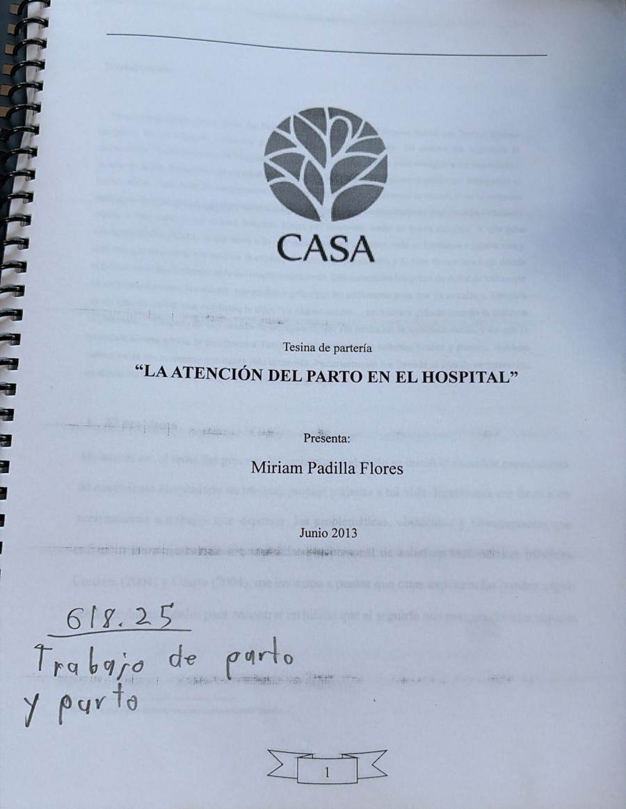 Portada de La atención del parto en el hospital