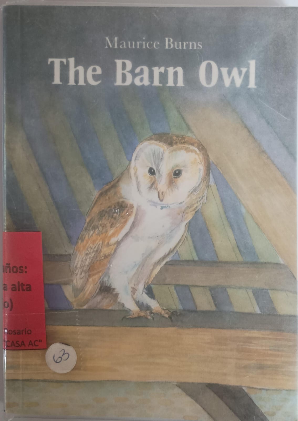 The Barn Owl