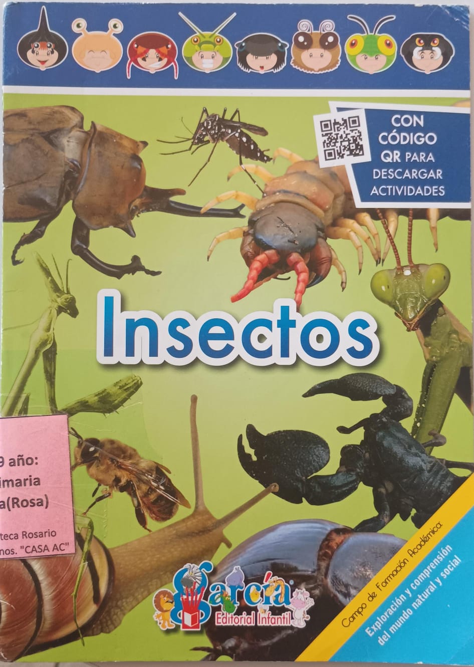 Insectos