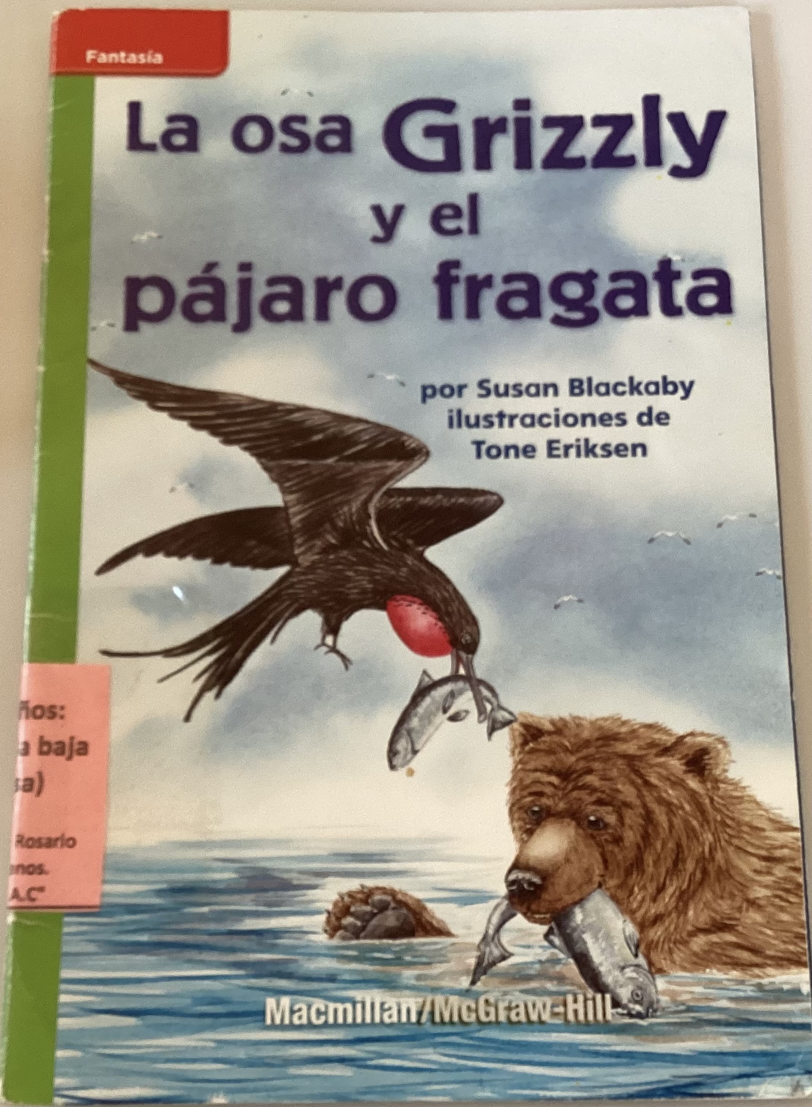 La osa Grizzly y el pájaro fragata