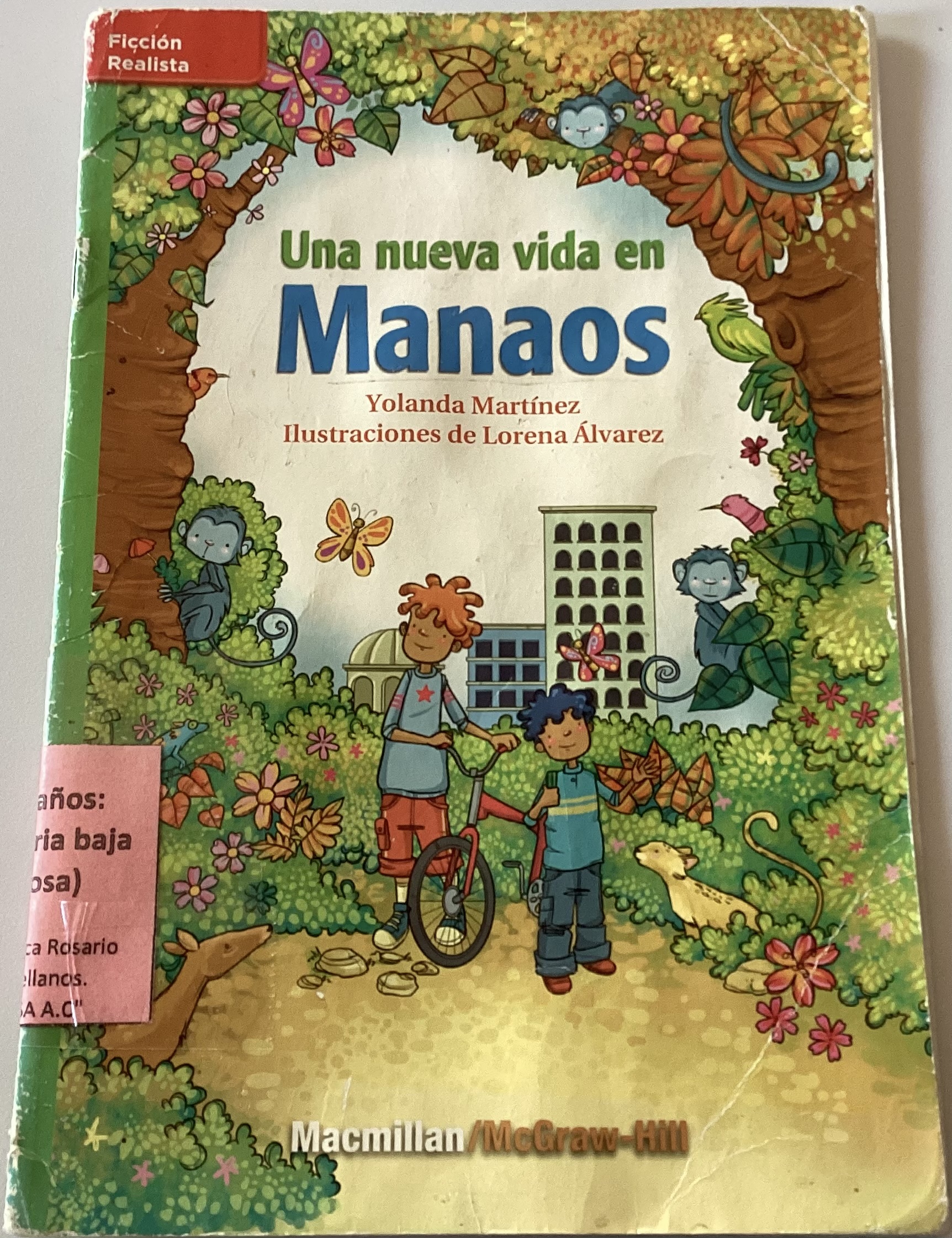 Una nueva vida en Manaos