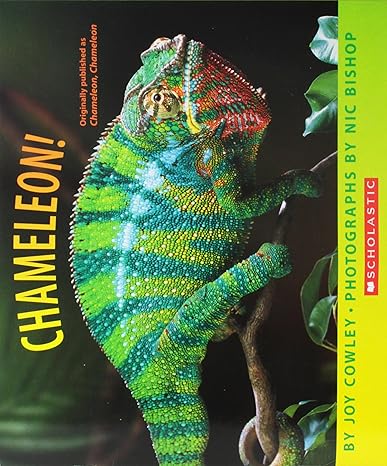 ¡Camaleón!
