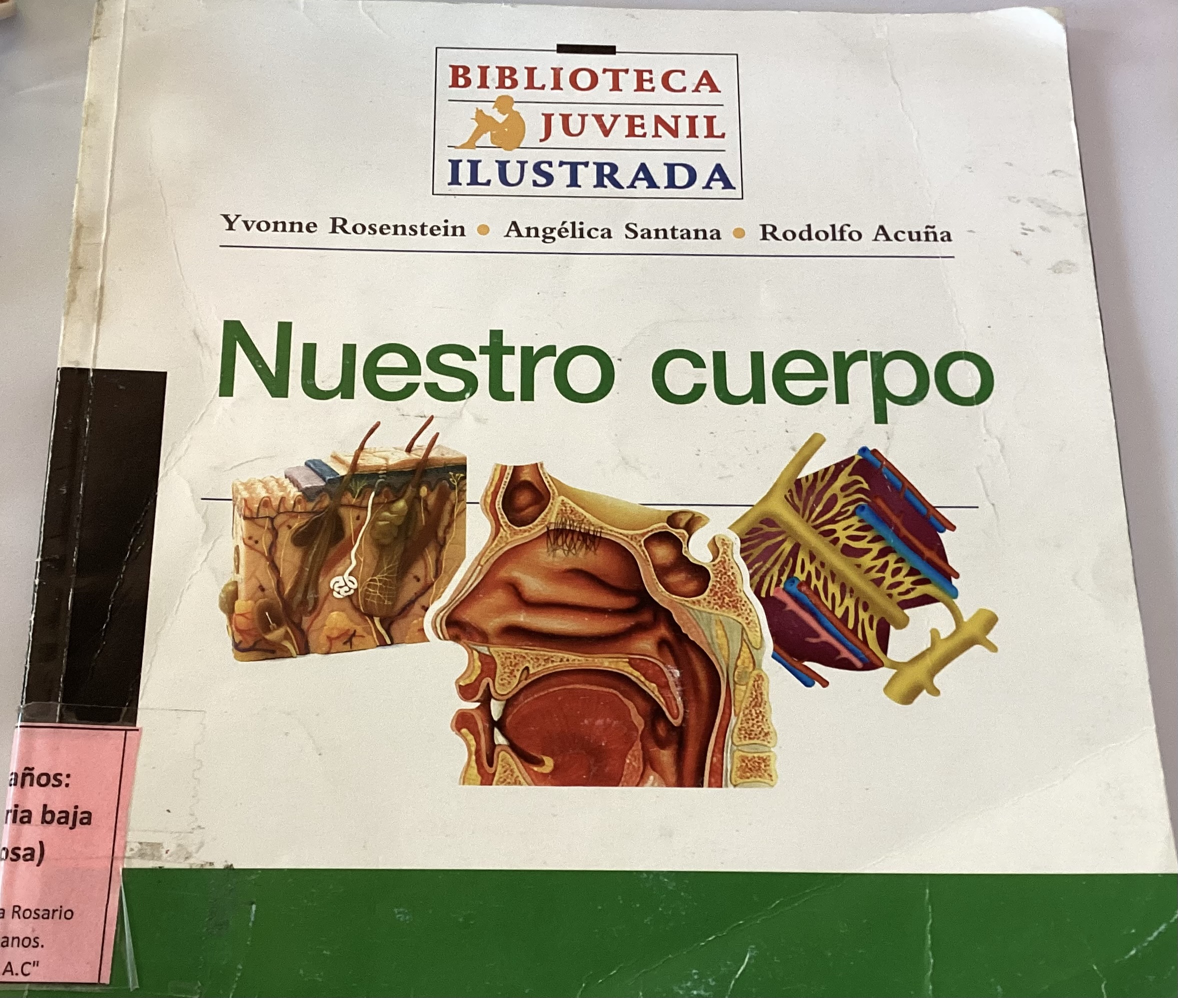 Nuestro cuerpo