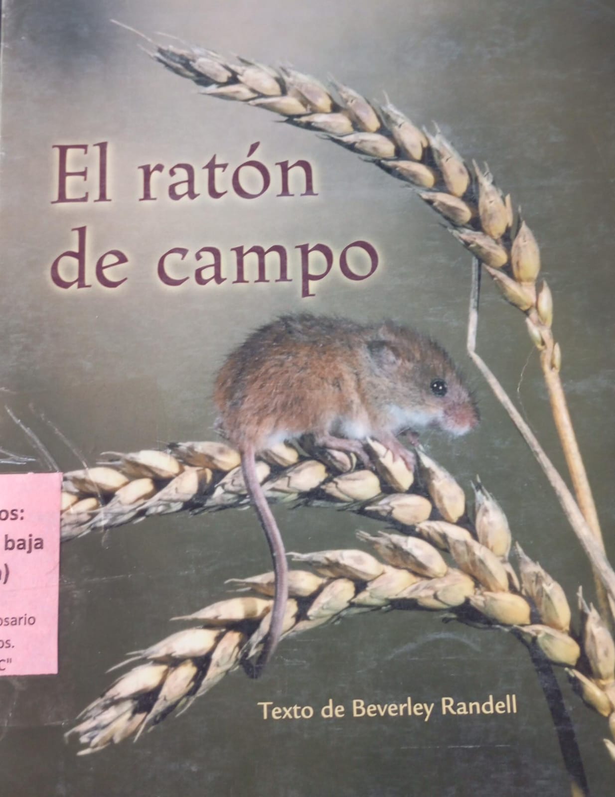 El raton de campo