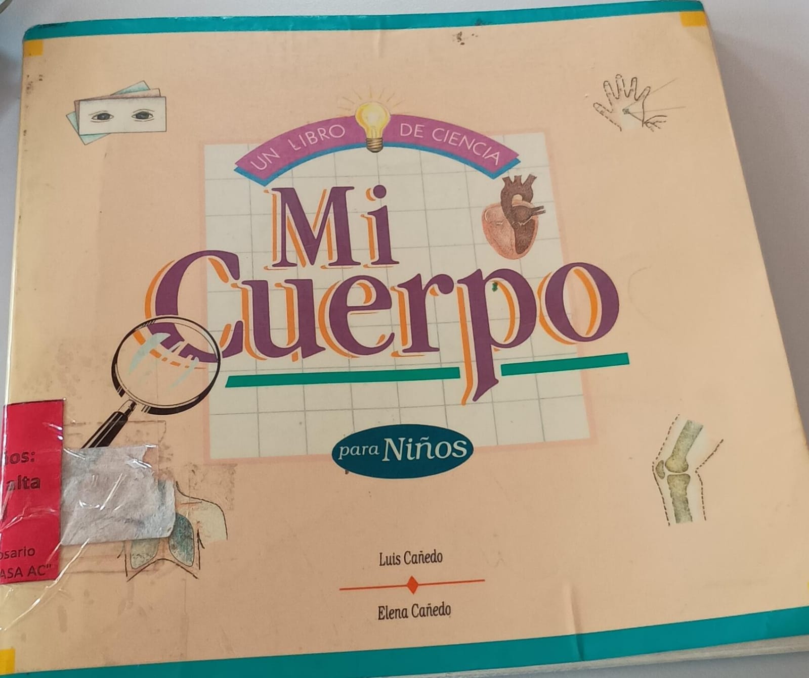 Mi Cuerpo: Un libro de ciencia para niños