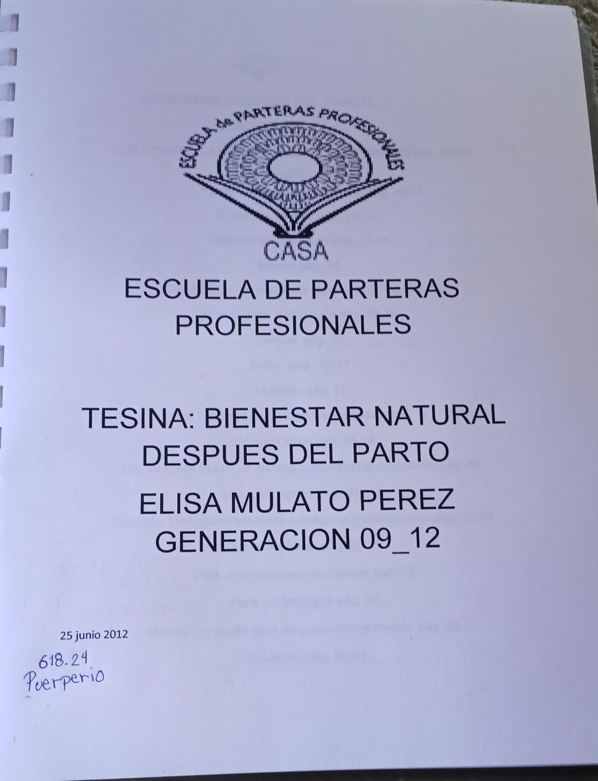Portada de Bienestar natural después del parto