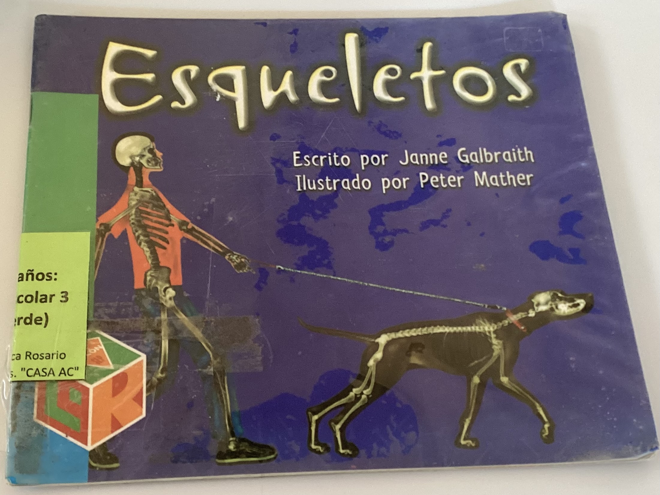 Esqueletos