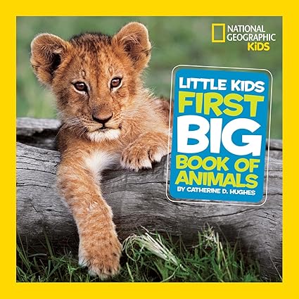 Little kids: First big book of animals