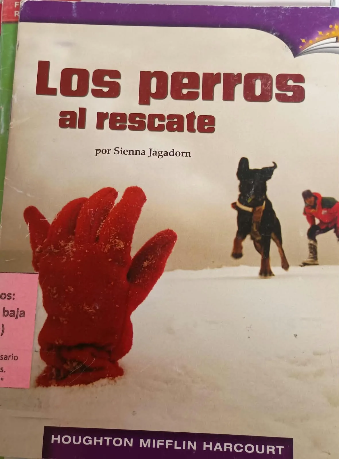 Los perros al recate