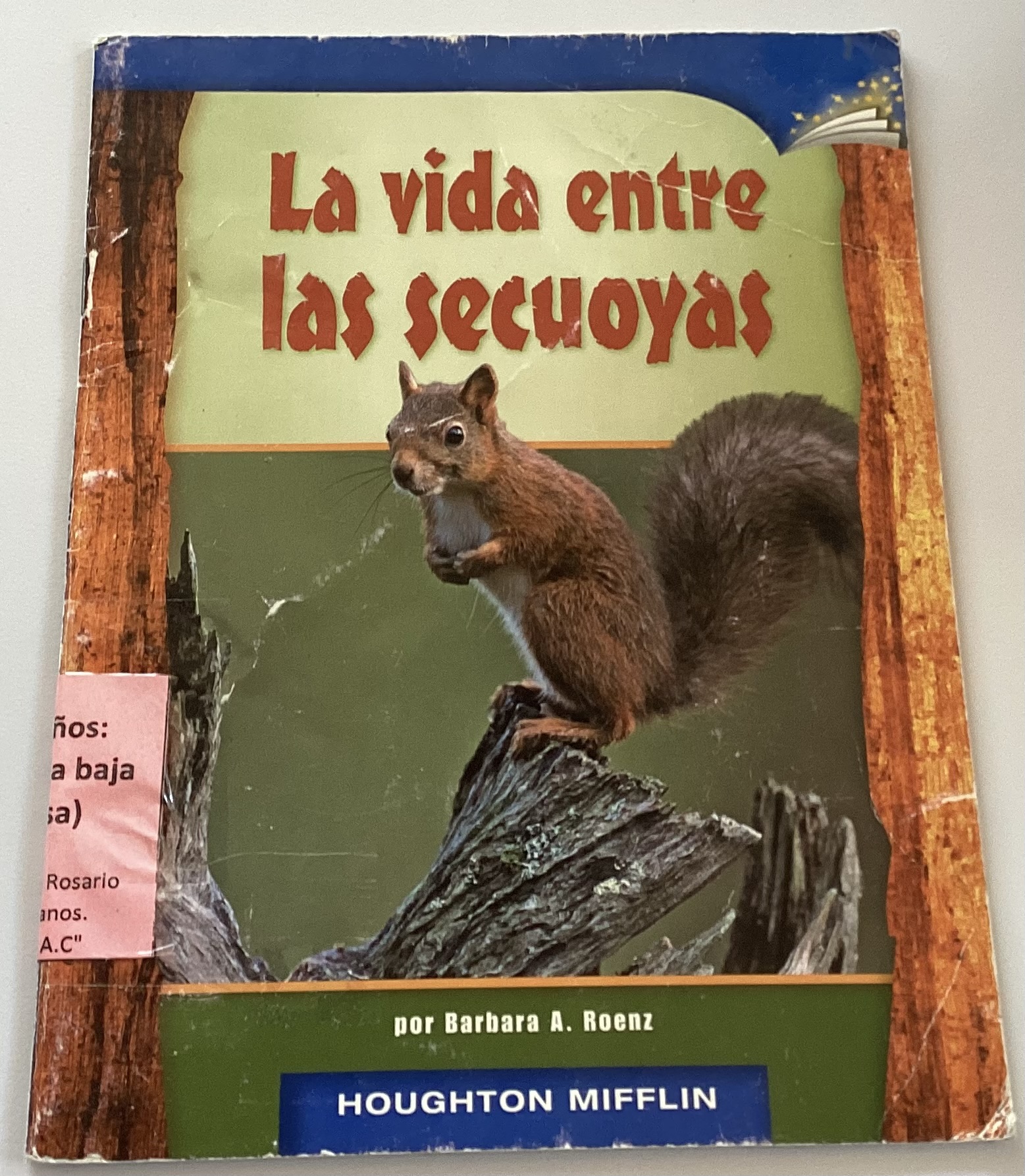 La vida entre las secuoyas