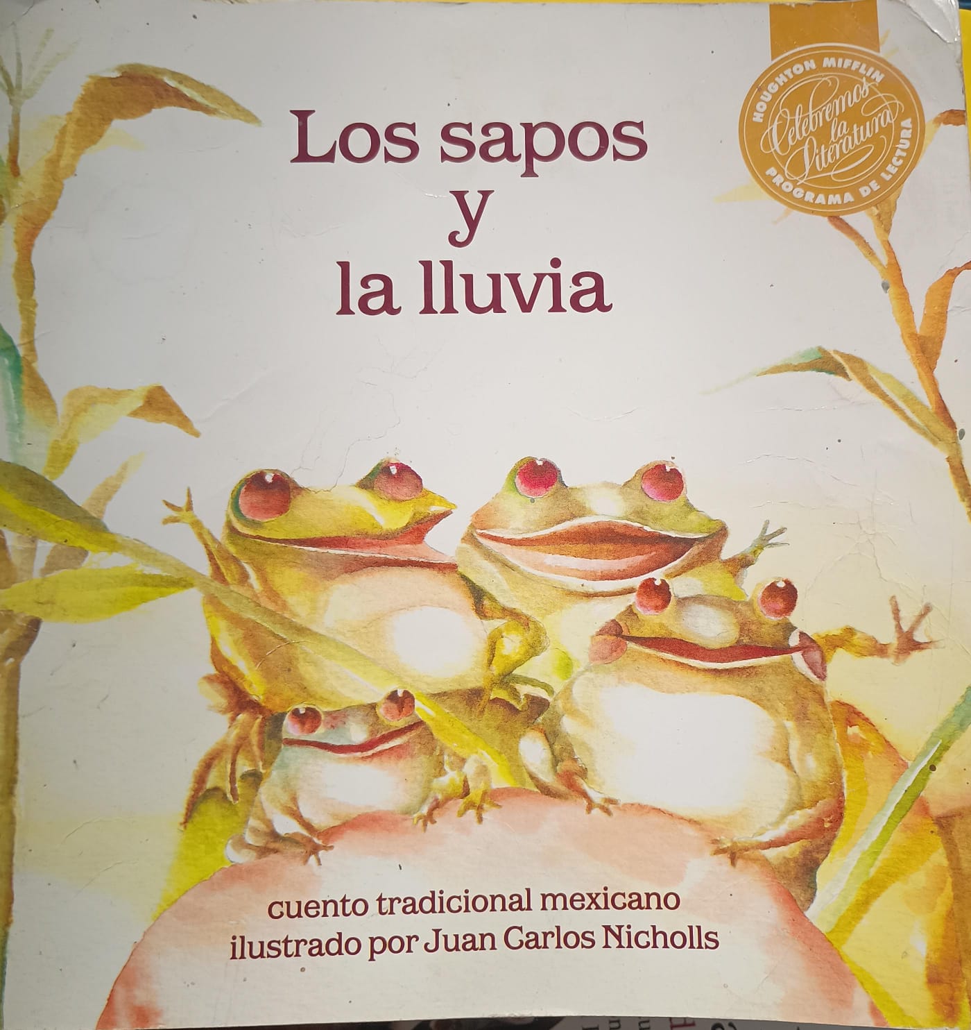 Los sapos y la lluvia