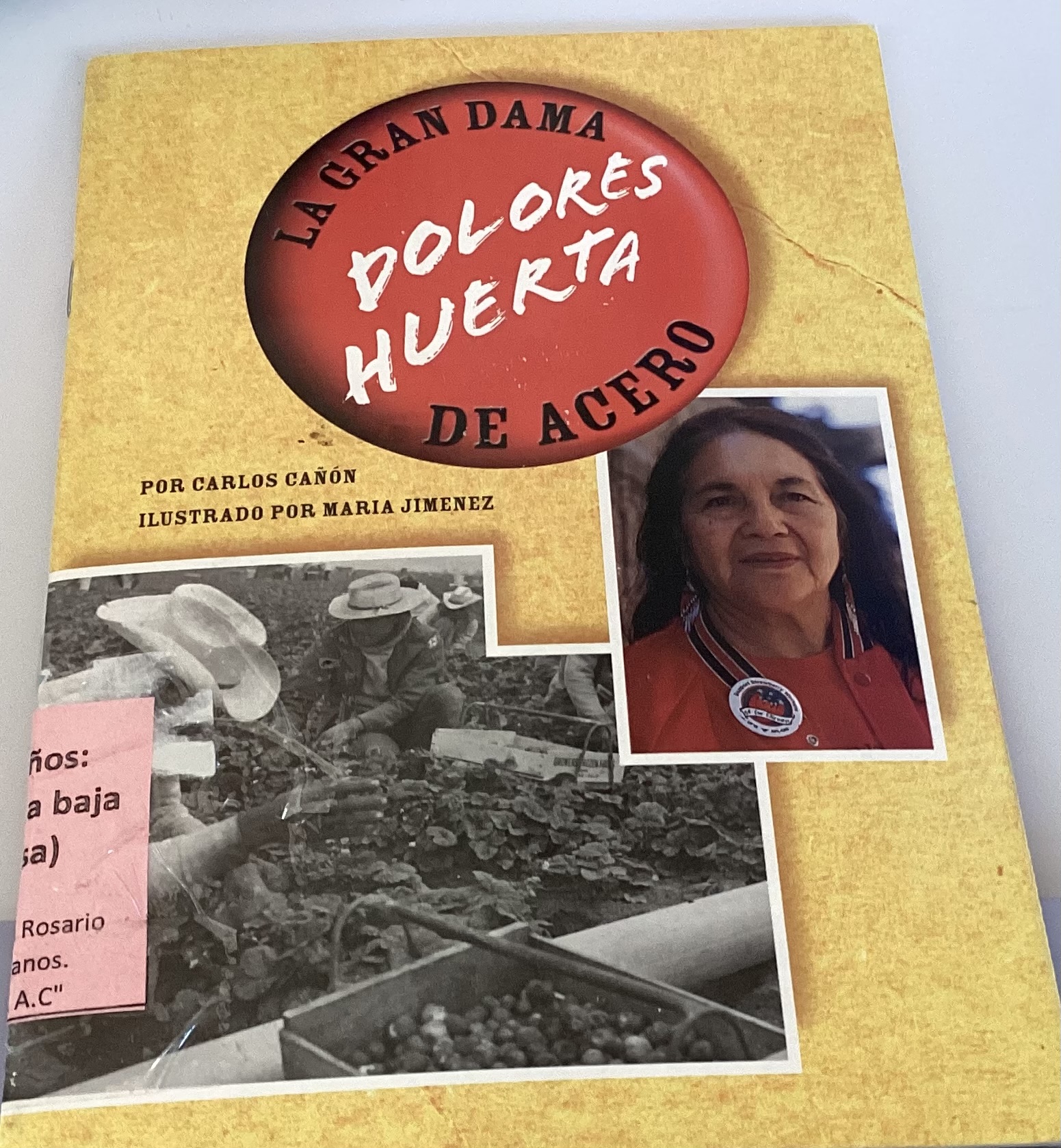 La gran dama de acero: Dolores Huerta