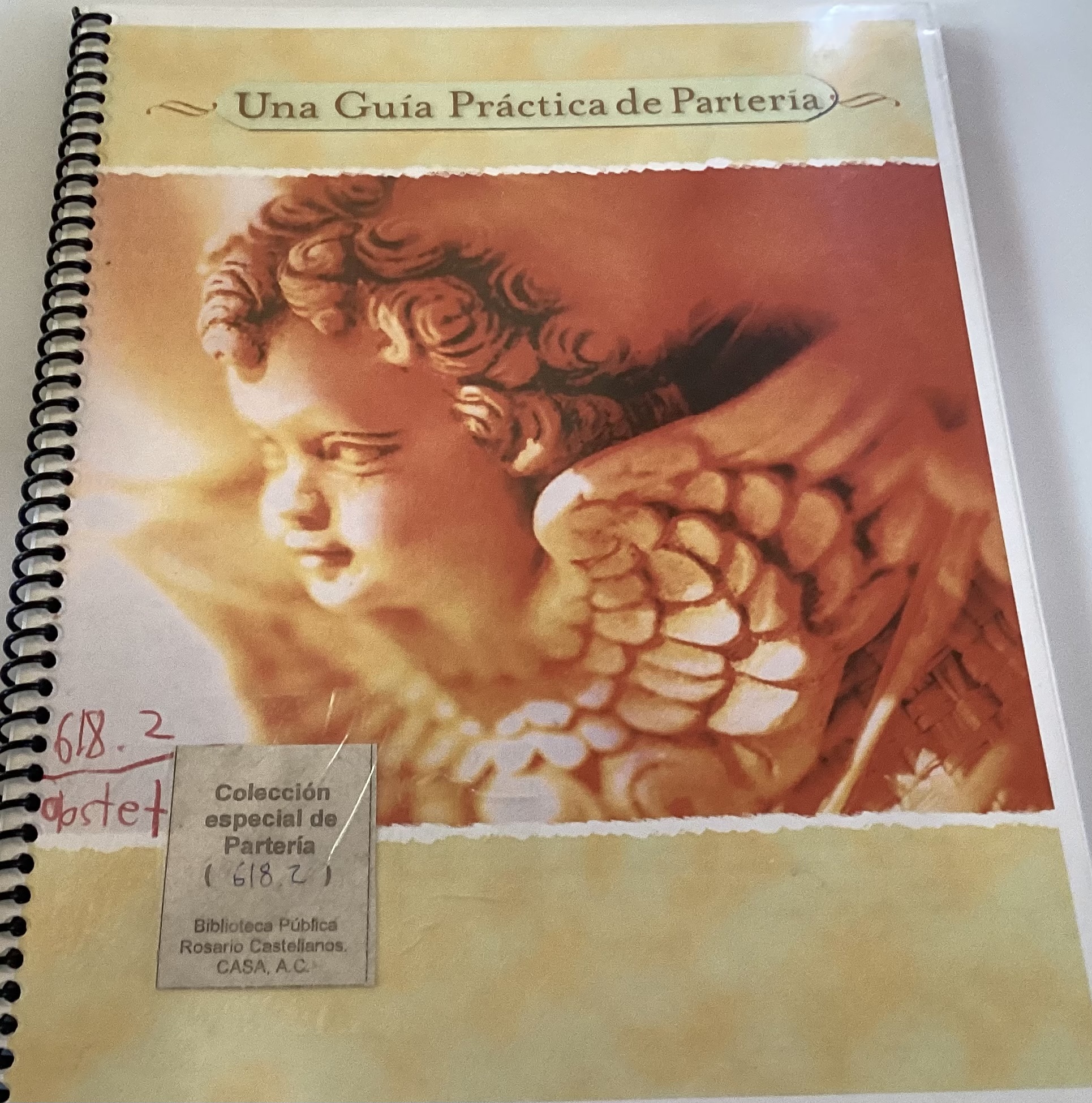 Portada de Una guía práctica de partería
