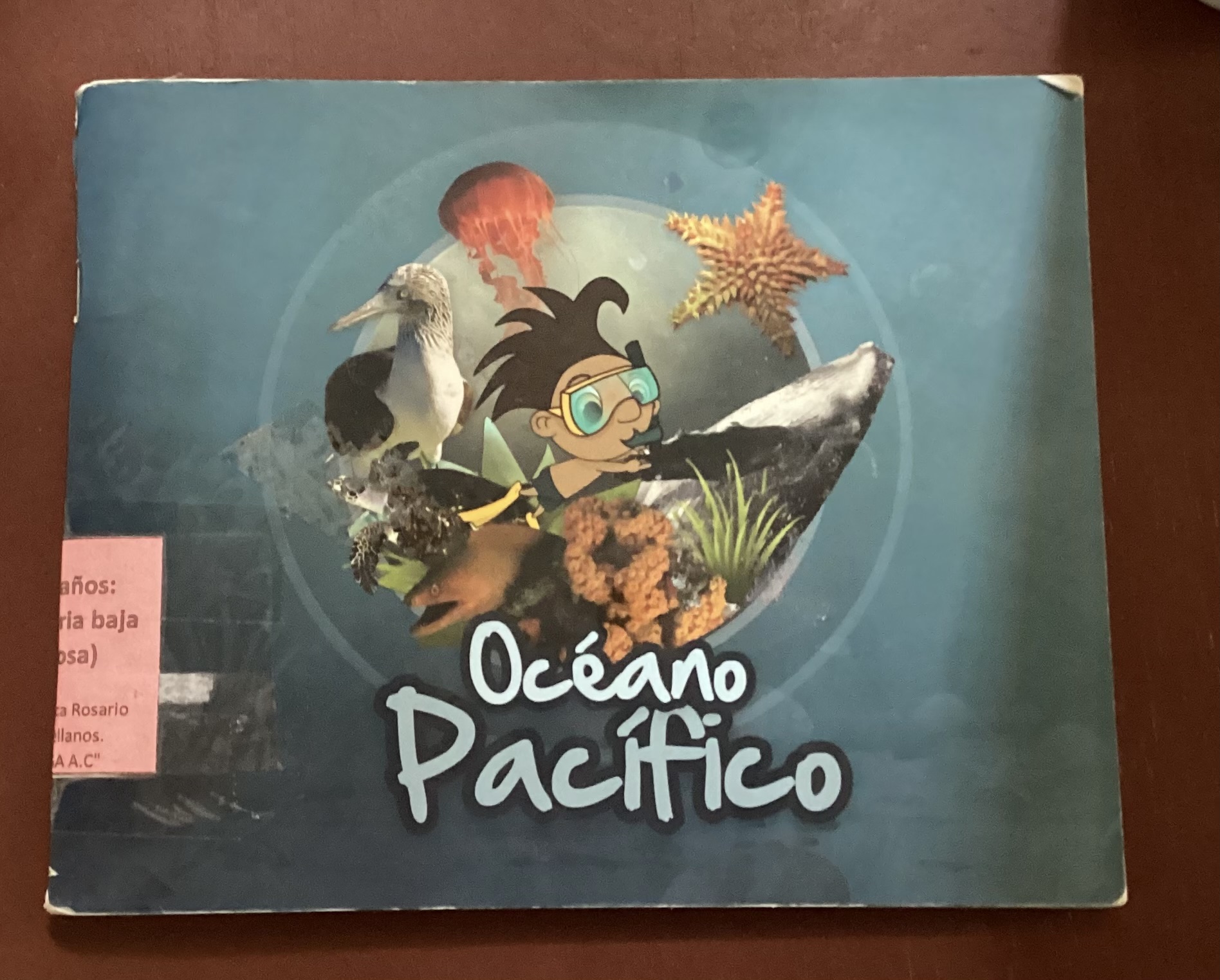 Océano pacífico