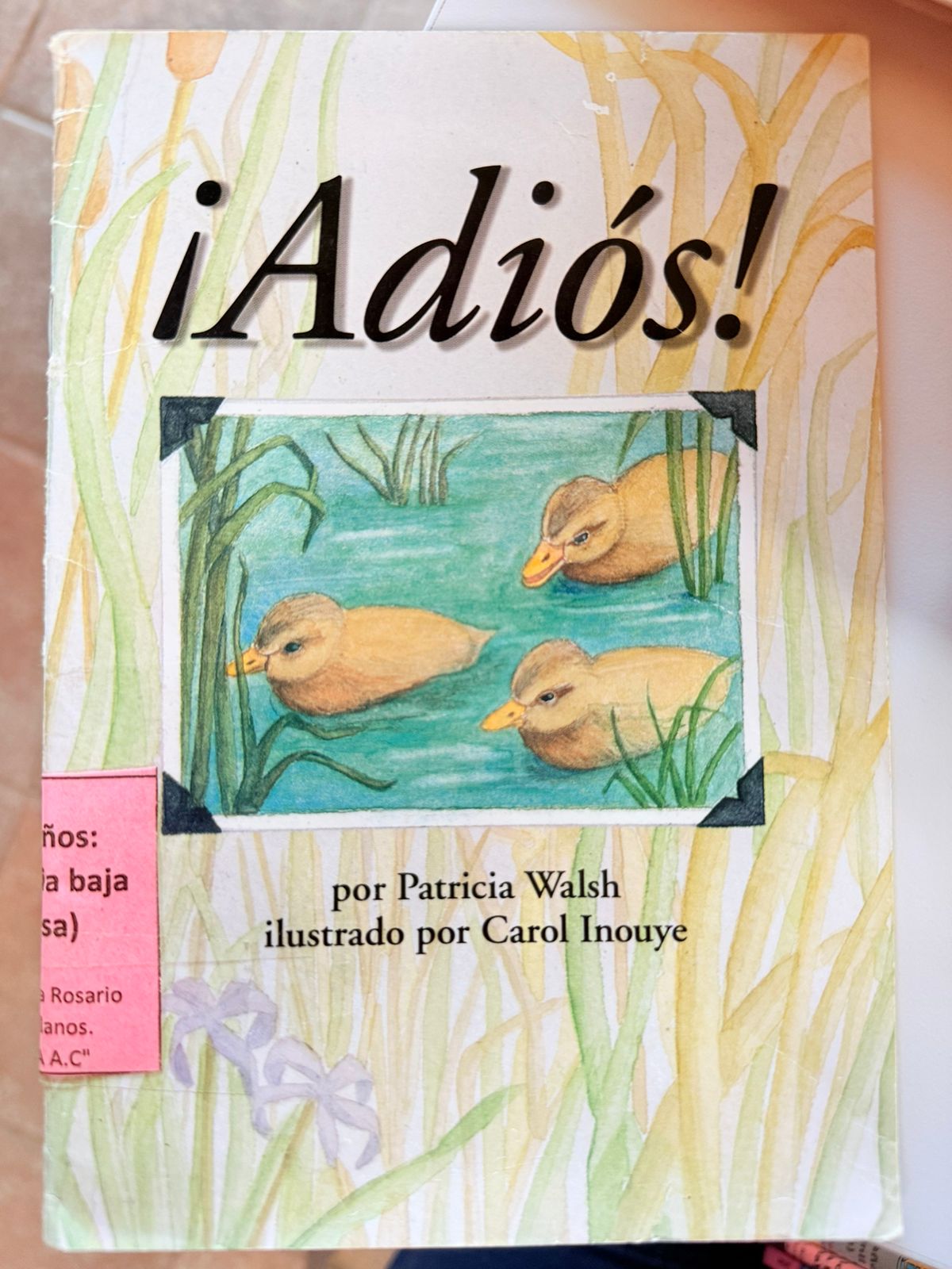 ¡Adiós!