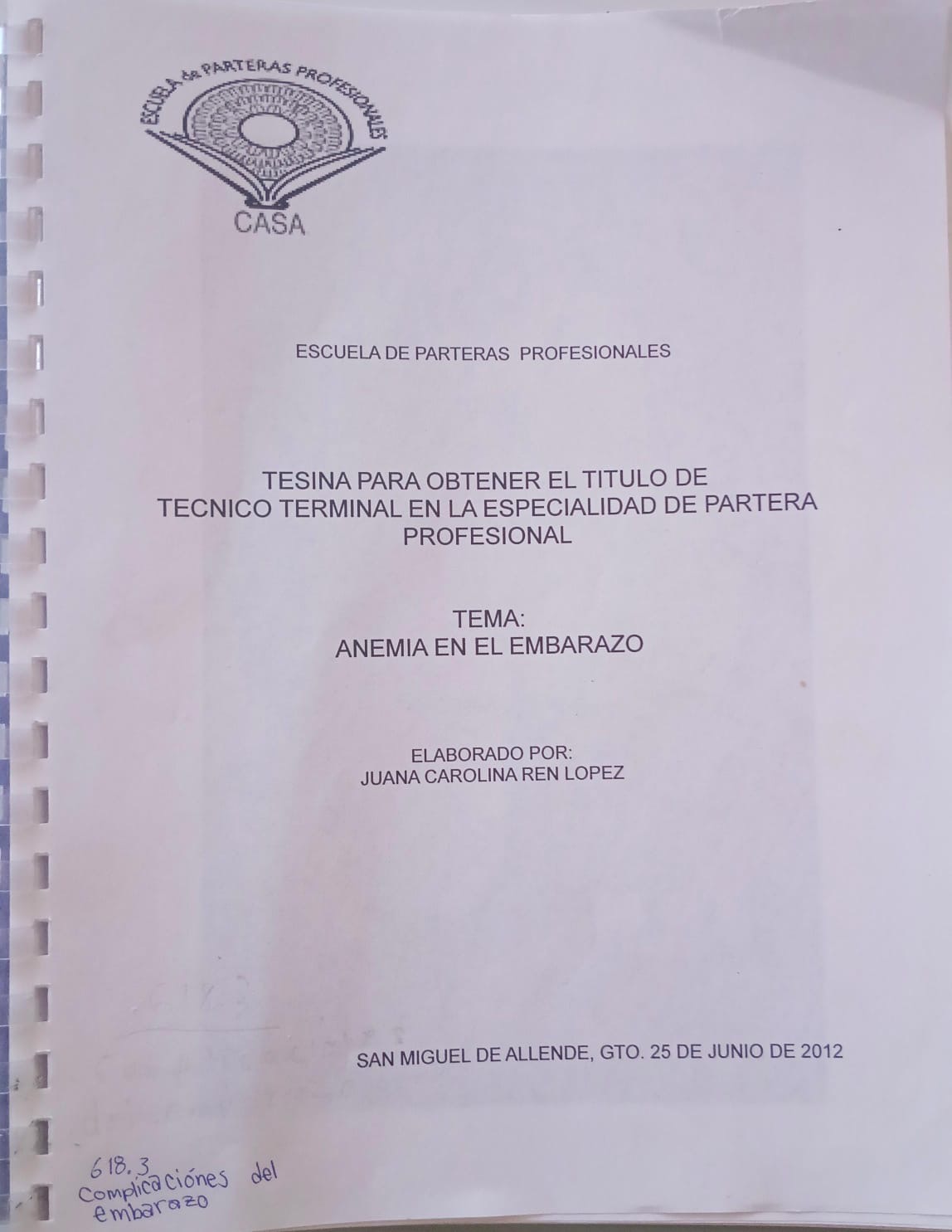 Portada de Anemia en el embarazo