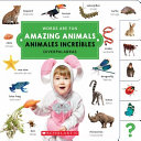 Amazing animals: Animales increibles