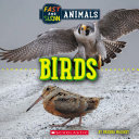 Birds and Animals 