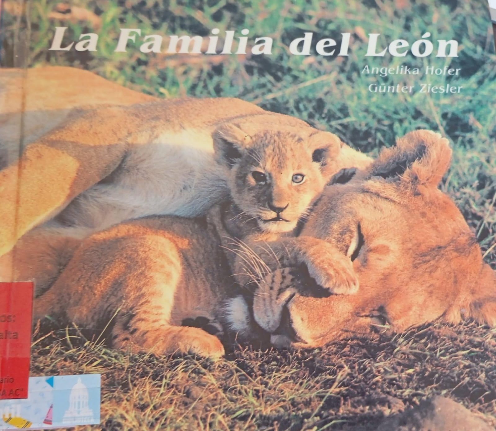 Portada de La familia del leon