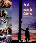 Camy el camaleón: Un libro de valores y virtudes