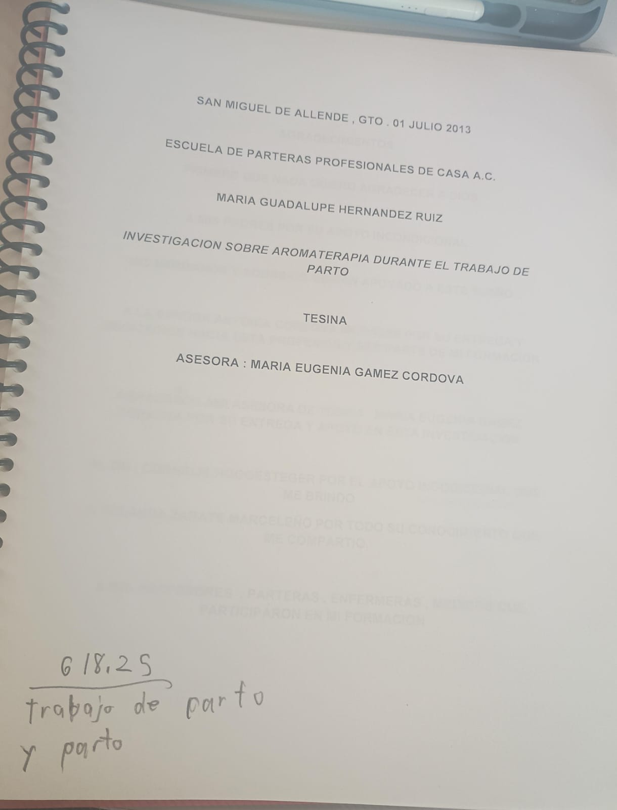Portada de Tesina
