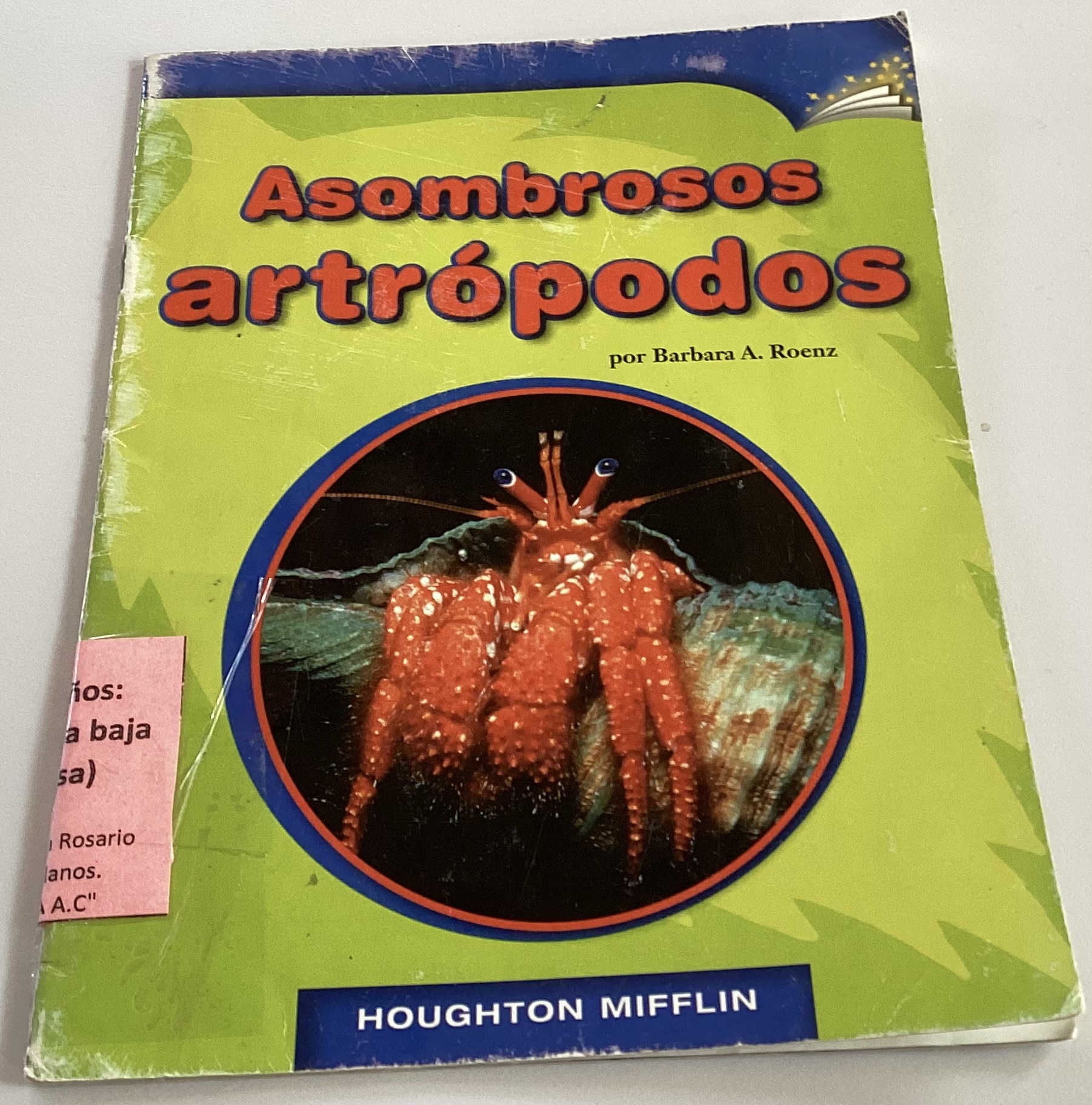 Asombrosos artrópodos