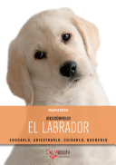 El Labrador de Chocolate : !Cacao se mete en problemas!