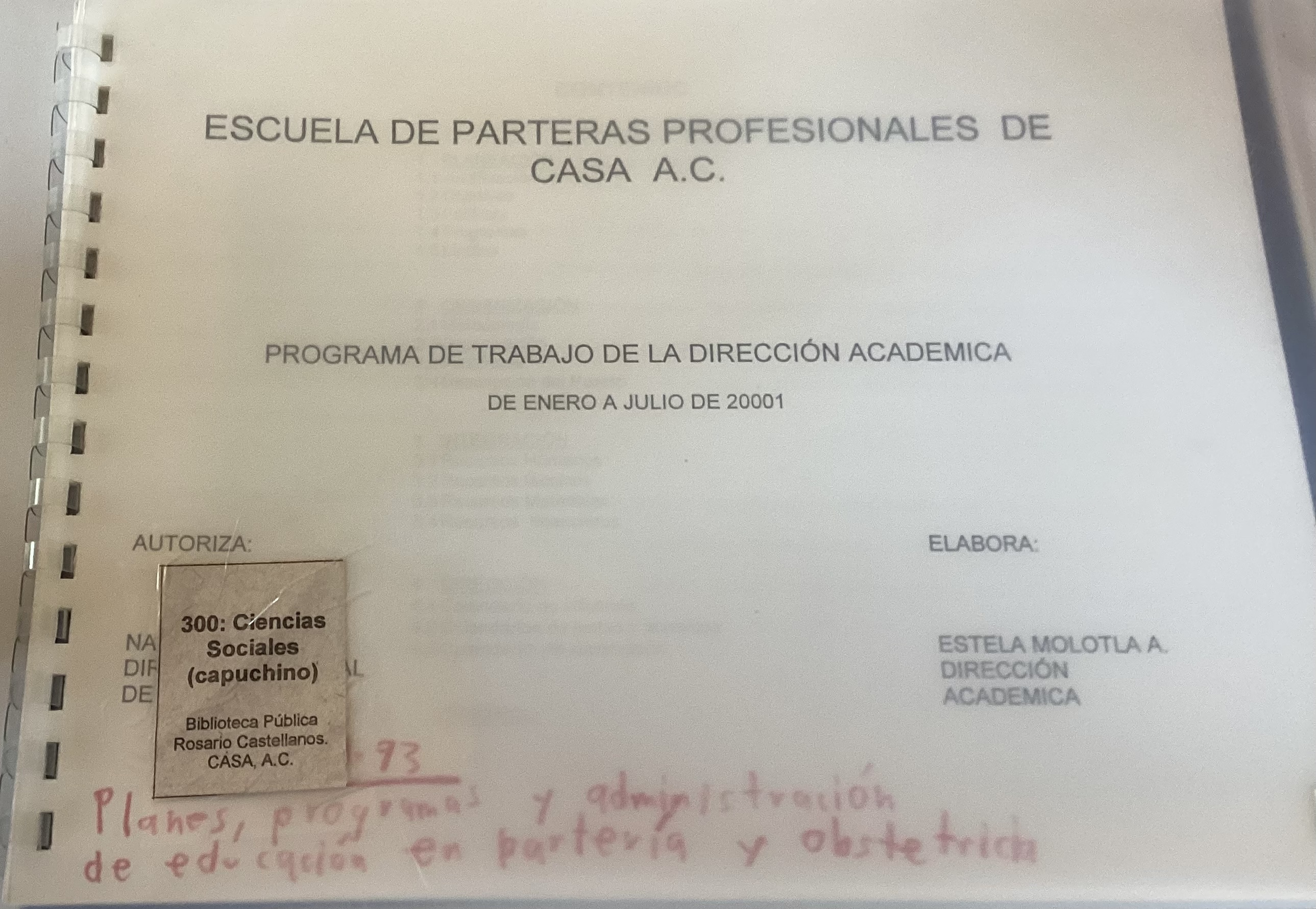 Programa de trabajo de la dirección académica