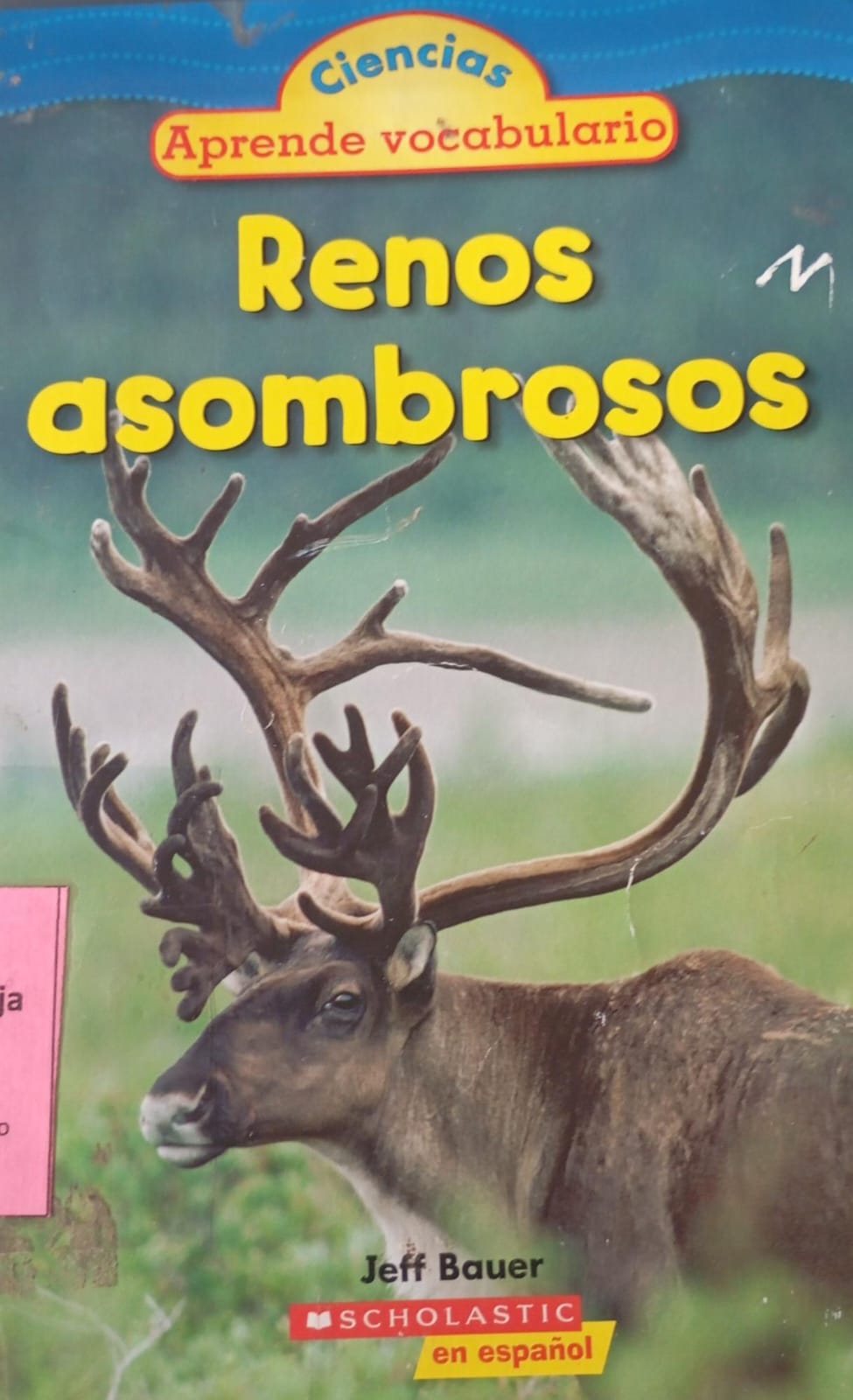 Renos Asombrosos