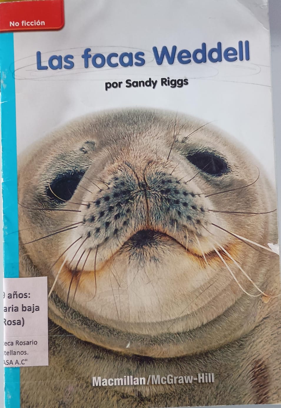Las focas weddell