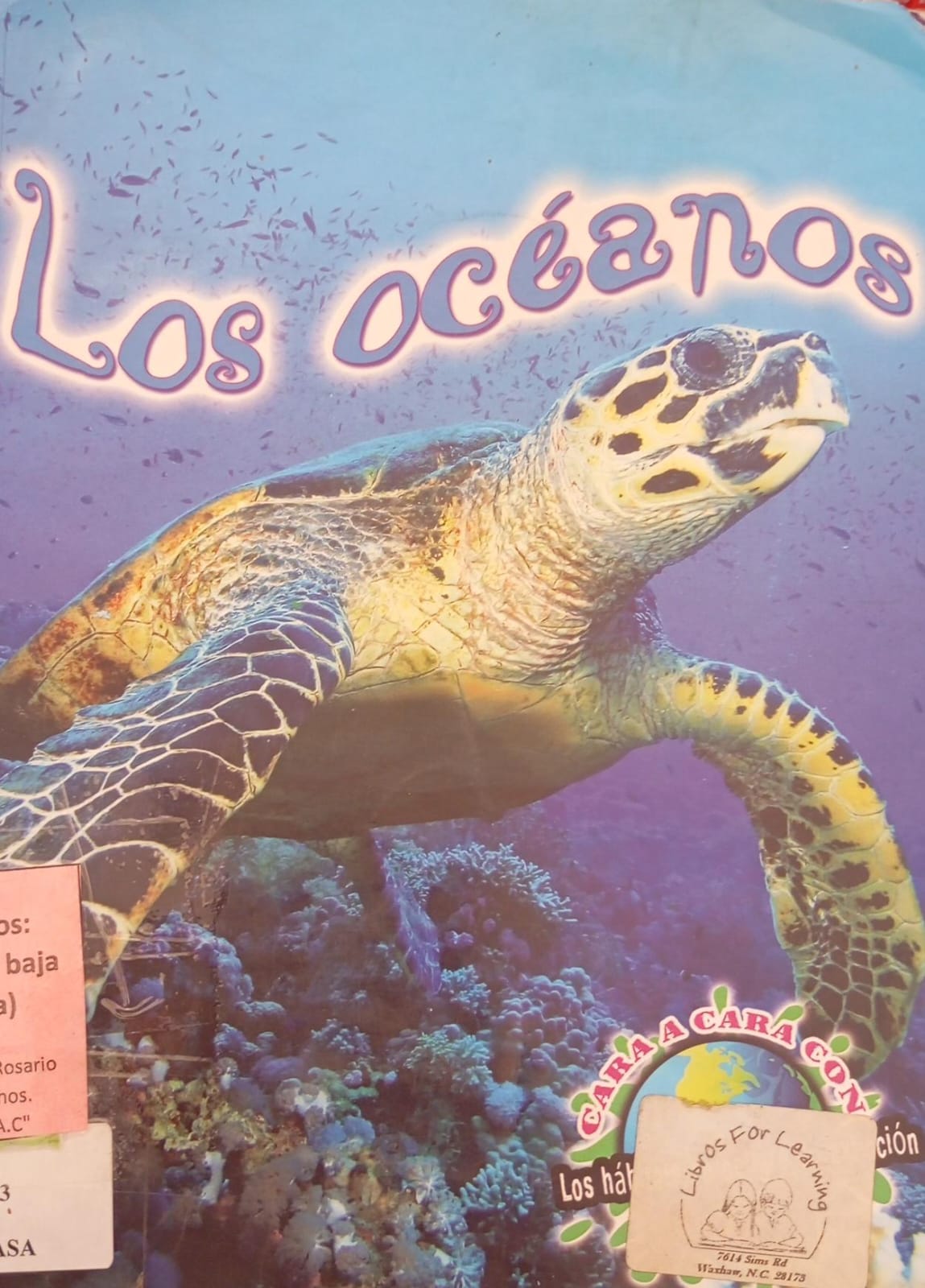 Los Oceanos