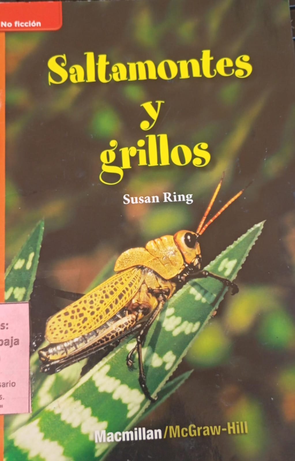 Saltamontes y grillos