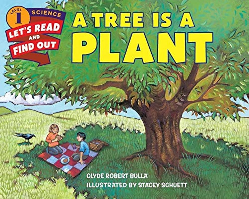 A tree is a plant: Un árbol es una planta