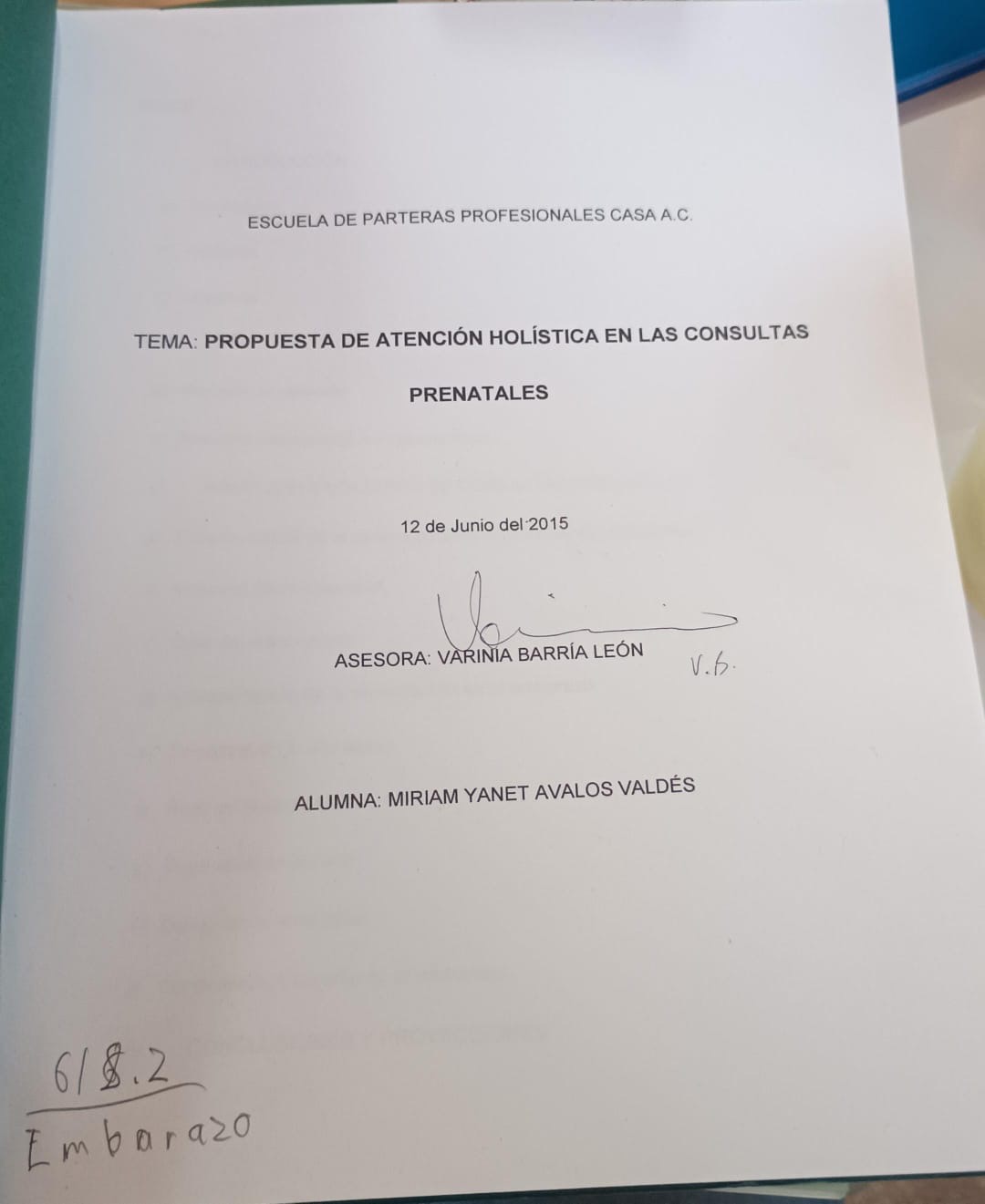 Portada de Propuesta de atención holística en las consultas prenatales