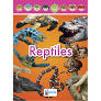 Reptiles: Campo de formación academica