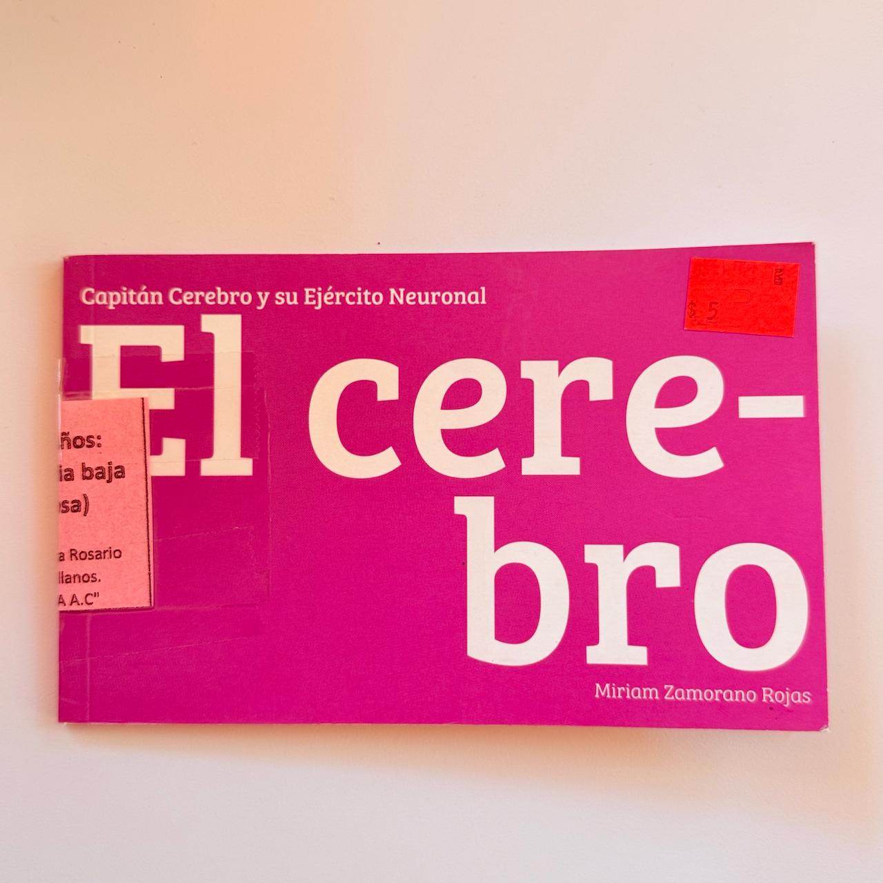 El cerebro