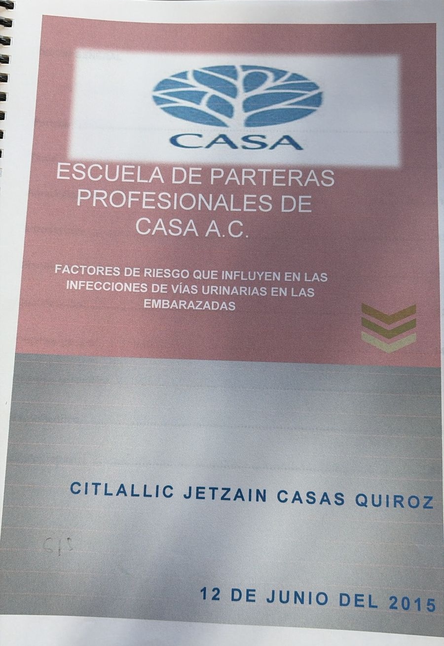 Portada de Factores de riesgo que influyen en las infecciones de vías urinarias en las embarazadas