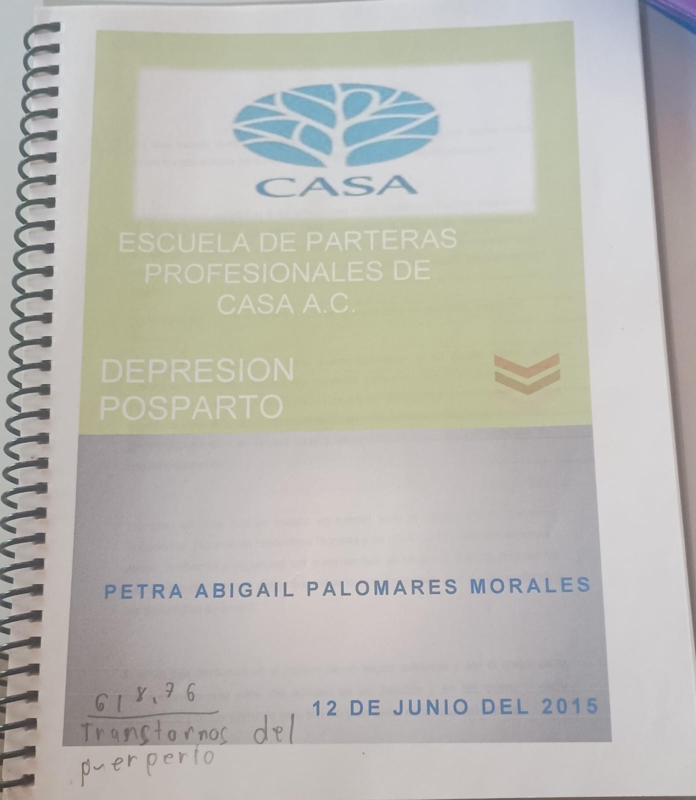 Portada de Depresión posparto