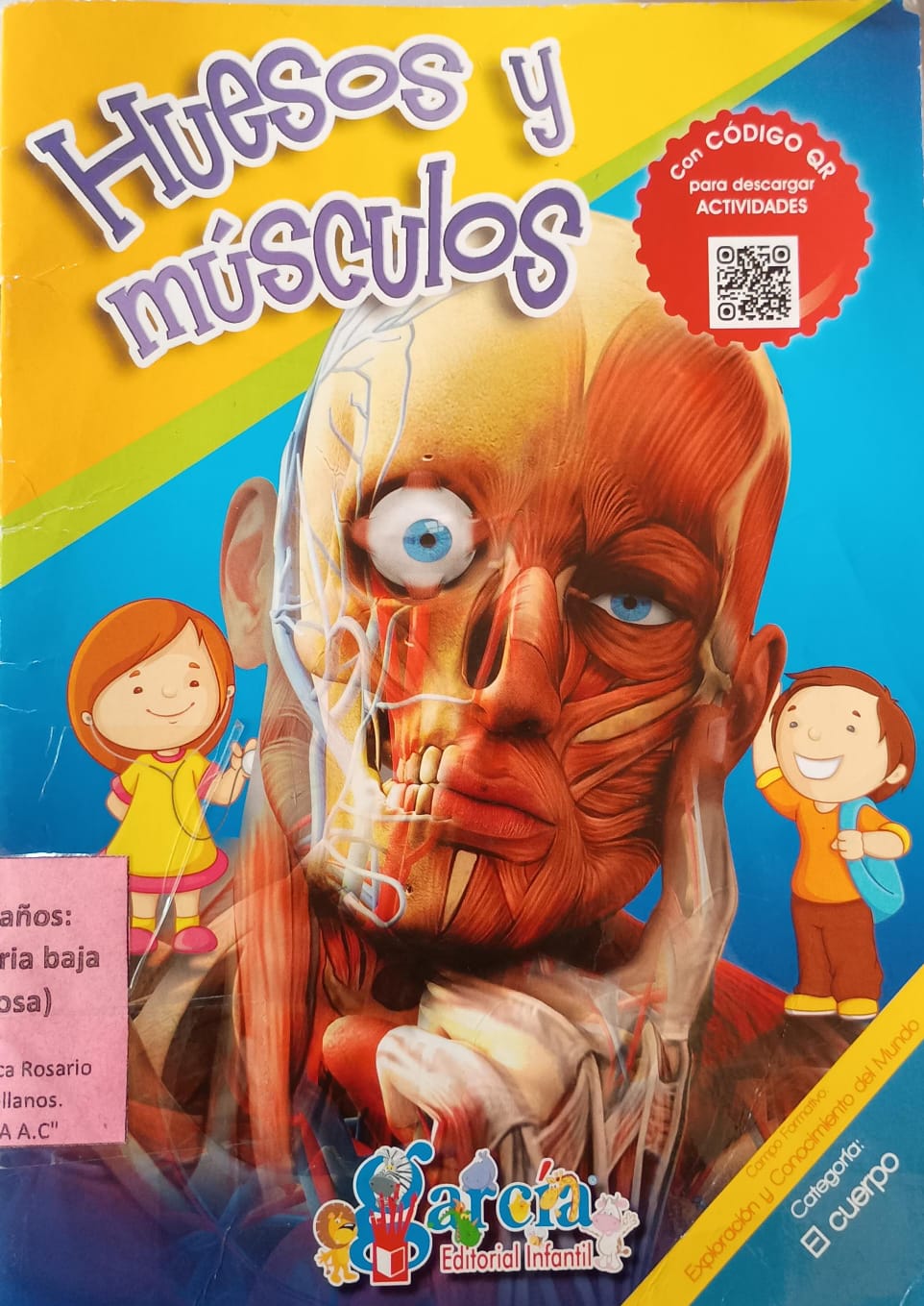 Huesos y musculos